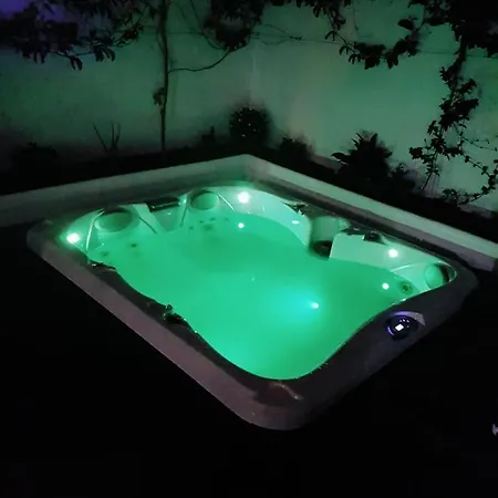 Palmera * Maspalomas (Gran Canaria)