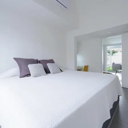 Palmera Maspalomas (Gran Canaria)