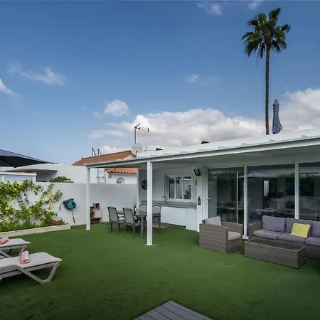 Palmera * Maspalomas (Gran Canaria)