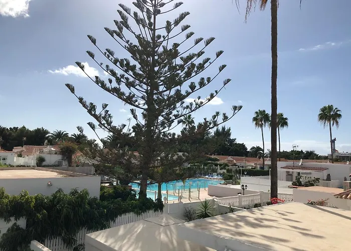 Palmera