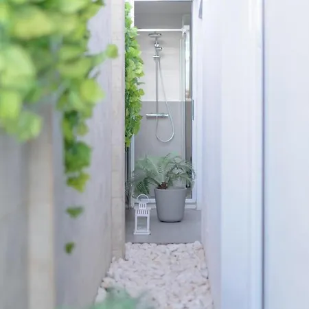 Palmera * Maspalomas (Gran Canaria)