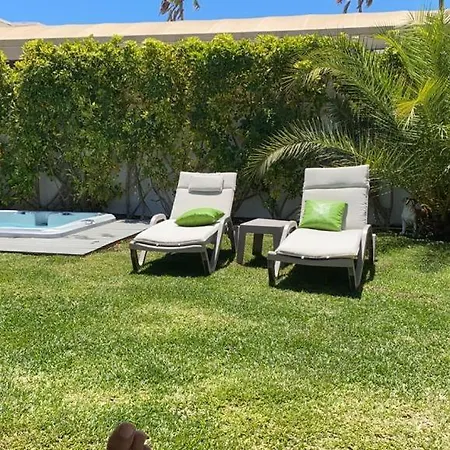 Palmera Maspalomas (Gran Canaria)