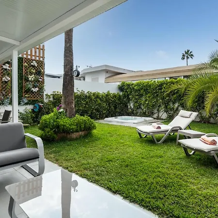 Palmera * Maspalomas (Gran Canaria)