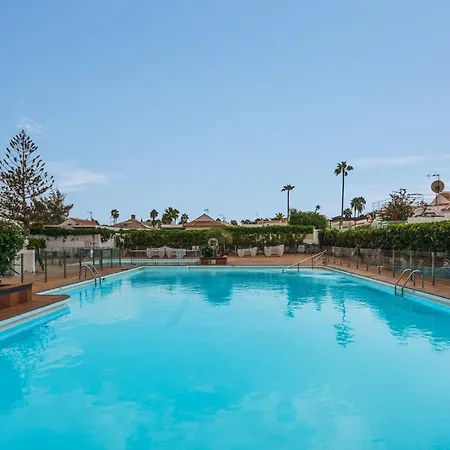 Palmera * Maspalomas (Gran Canaria)