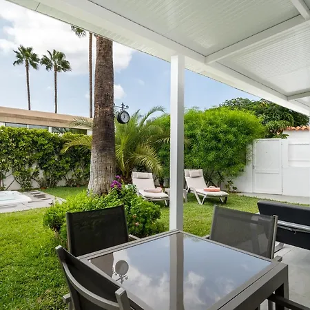 Palmera Maspalomas (Gran Canaria)