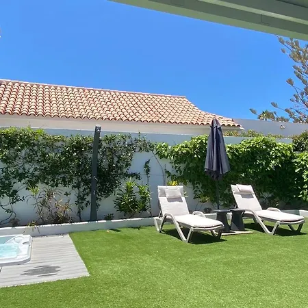 Palmera Maspalomas (Gran Canaria)