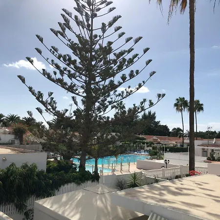 Palmera