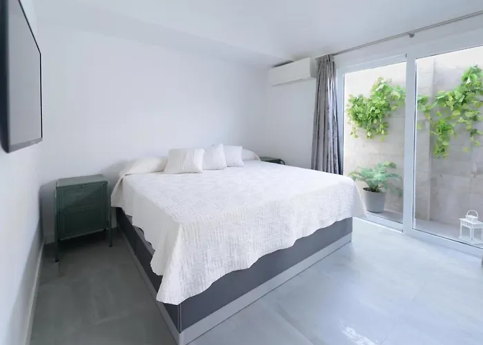 Palmera Maspalomas (Gran Canaria)