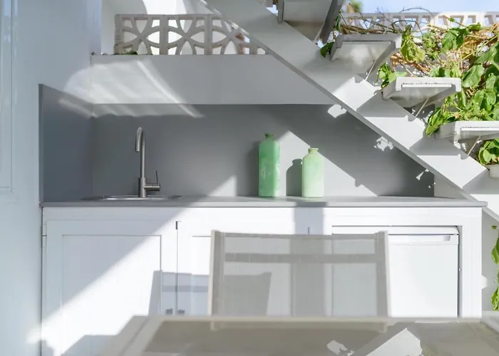 Palmera Maspalomas (Gran Canaria)