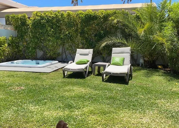 Palmera Maspalomas (Gran Canaria)