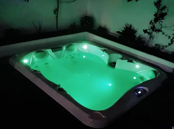 Palmera * Maspalomas (Gran Canaria)