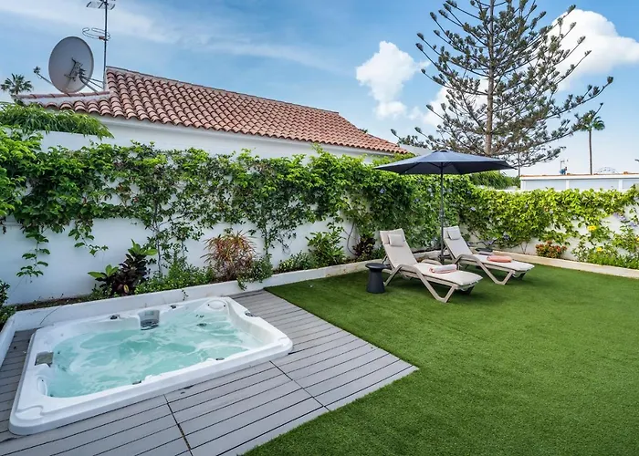 Palmera * Maspalomas (Gran Canaria)