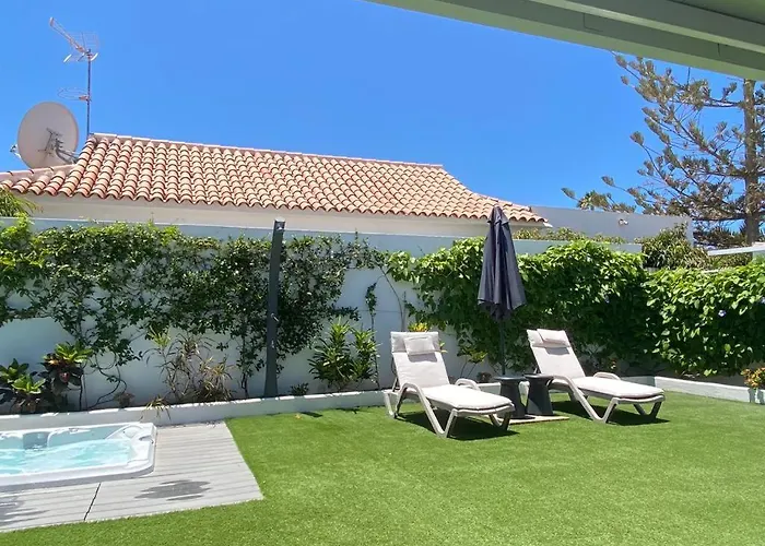 Palmera Maspalomas (Gran Canaria)