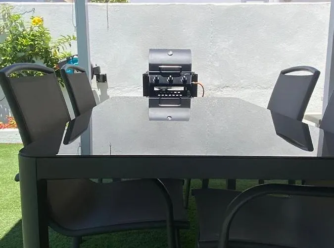 Palmera Maspalomas (Gran Canaria)