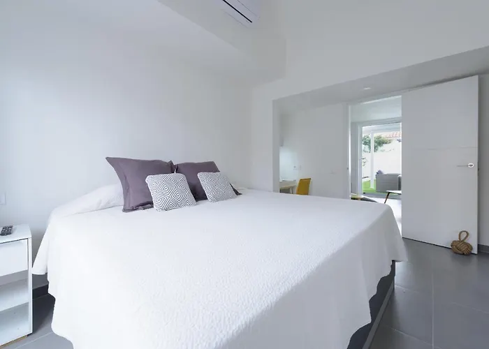 Palmera Maspalomas (Gran Canaria)